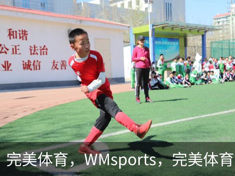 完美体育，WMsports，完美体育官方，完美体育平台，完美体育下载简介